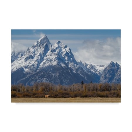 Galloimages Online 'A Horse In Front Of The Grand Teton' Canvas Art,22x32